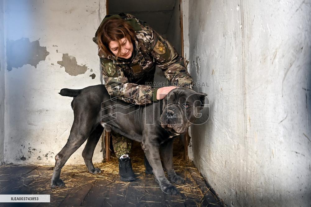 Dog training center of National Police in Zaporizhzhia