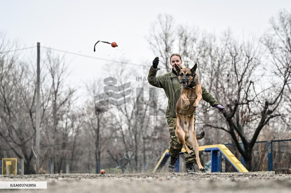 Dog training center of National Police in Zaporizhzhia