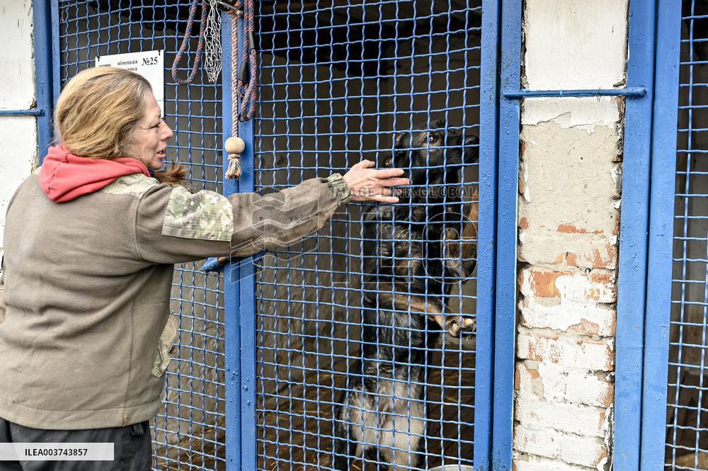Dog training center of National Police in Zaporizhzhia
