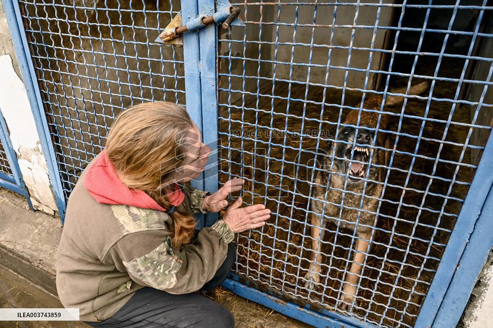 Dog training center of National Police in Zaporizhzhia