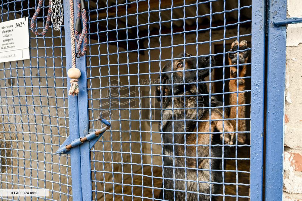 Dog training center of National Police in Zaporizhzhia