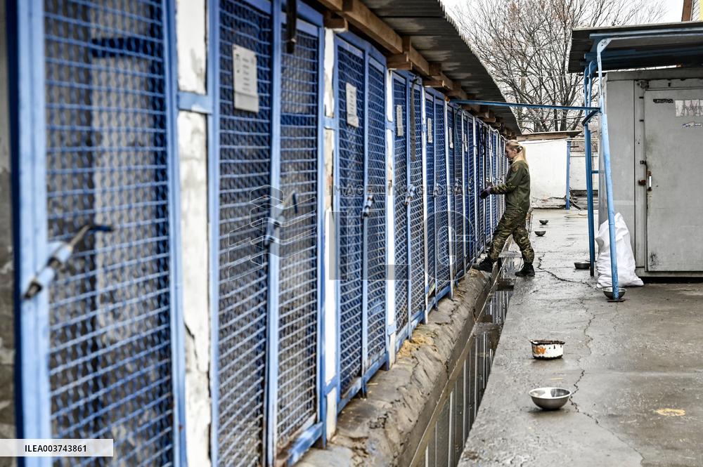 Dog training center of National Police in Zaporizhzhia