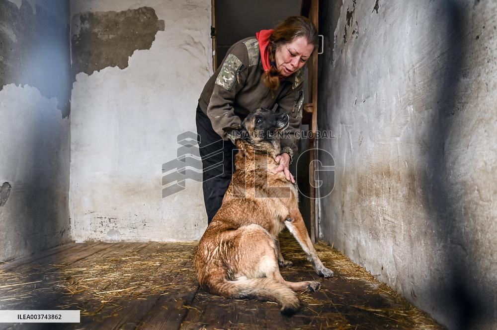 Dog training center of National Police in Zaporizhzhia