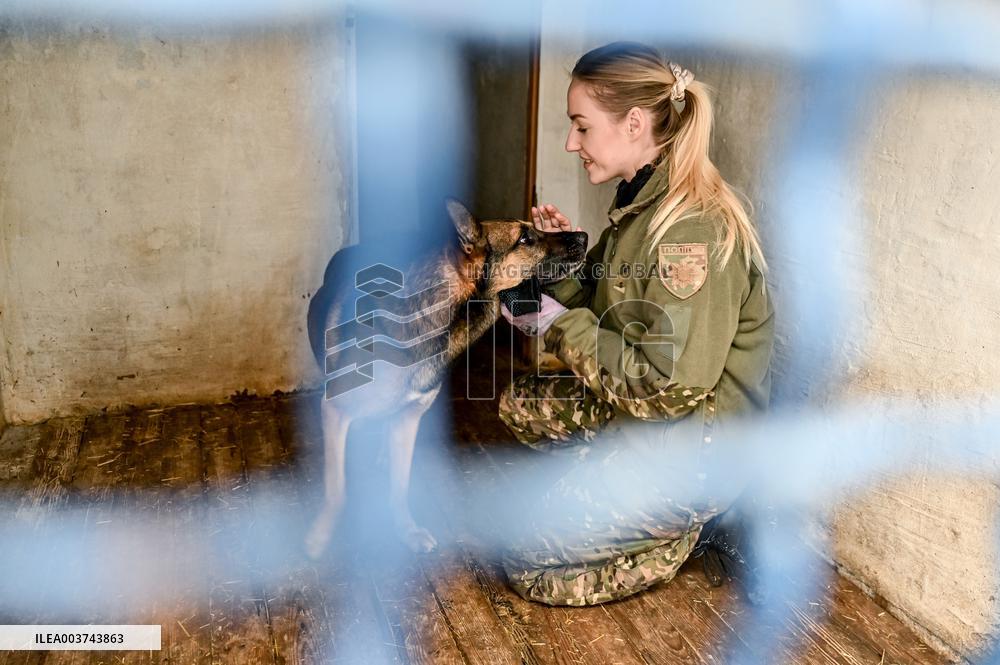 Dog training center of National Police in Zaporizhzhia
