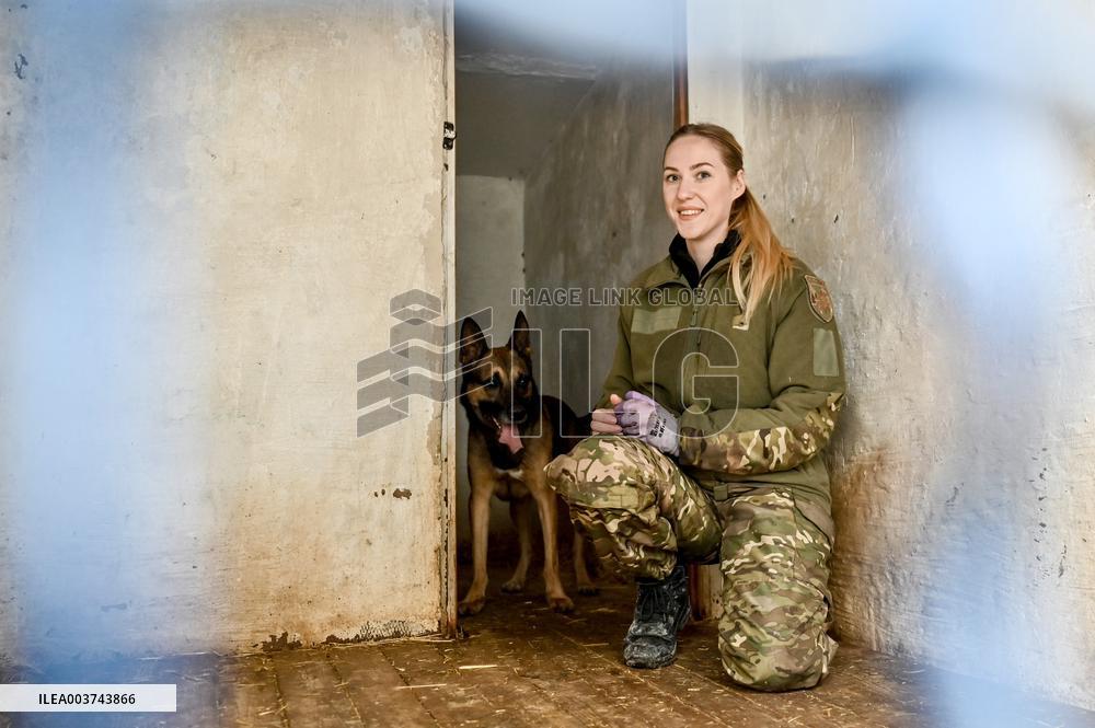 Dog training center of National Police in Zaporizhzhia