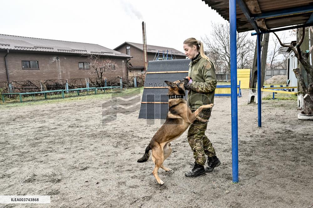 Dog training center of National Police in Zaporizhzhia