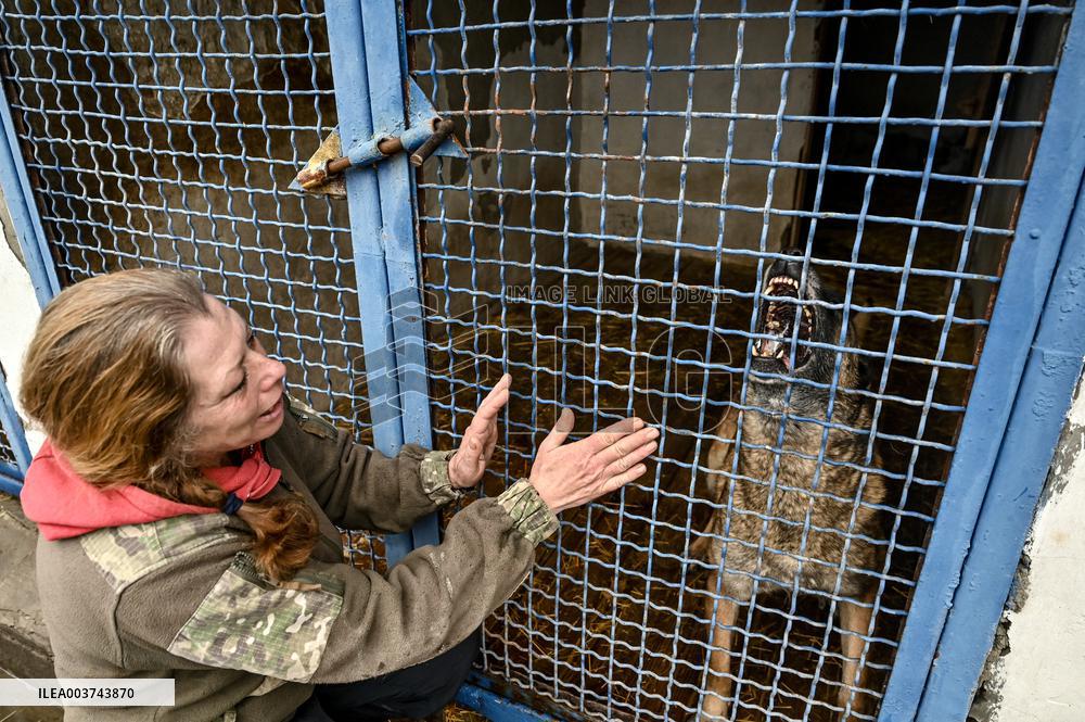 Dog training center of National Police in Zaporizhzhia