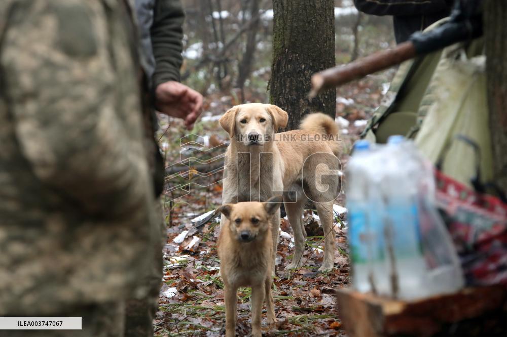 Construction of fortifications in Kharkiv sector