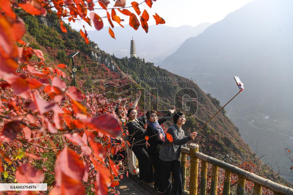 Wuxia Gorge Scenery - China