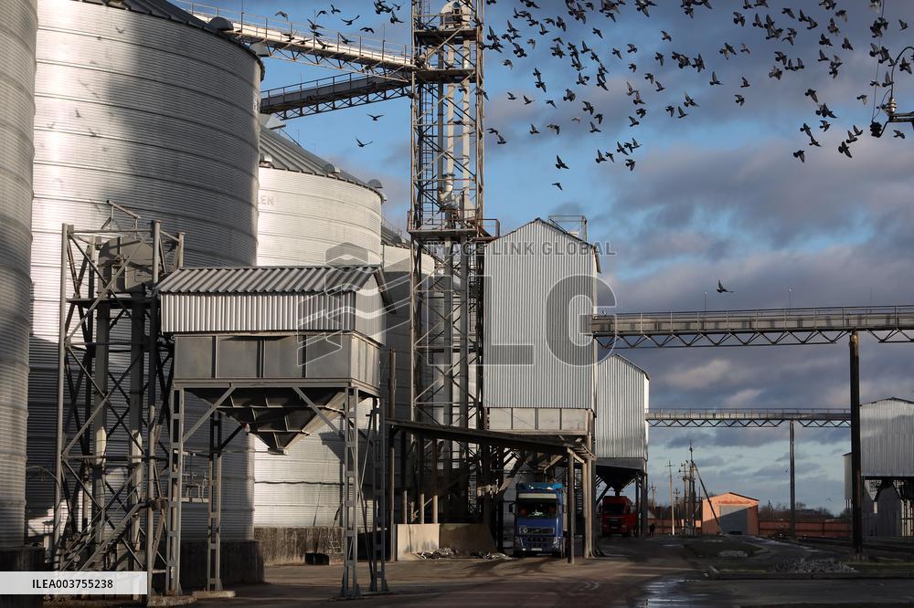 Agricultural enterprise in Chernihiv region