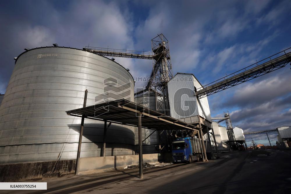 Agricultural enterprise in Chernihiv region