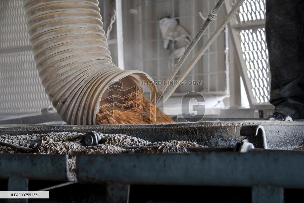 Agricultural enterprise in Chernihiv region