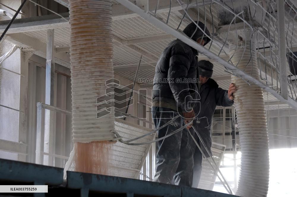 Agricultural enterprise in Chernihiv region