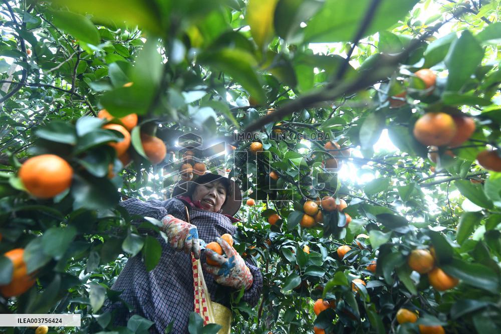 Rural Women Employment in Liuzhou - China -