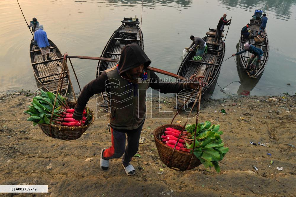 Cultivators Transport Winter Seasonal Vegetables - Bangladesh