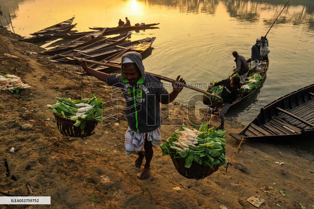 Cultivators Transport Winter Seasonal Vegetables - Bangladesh