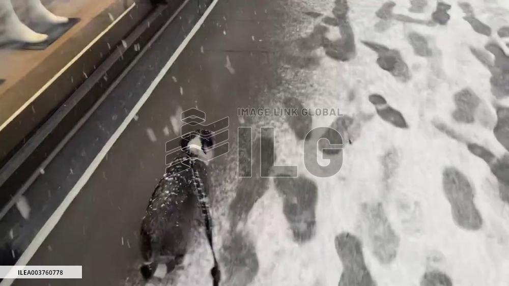 US: Boston Covered In Snow Ahead Of Holiday Weekend