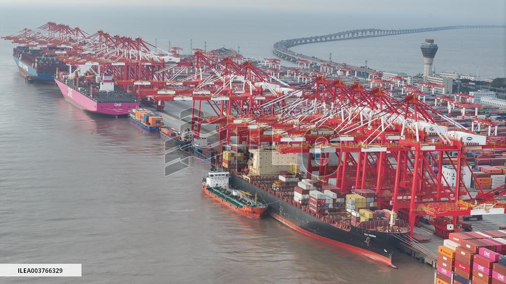 Shanghai Port Container Annual Throughput Exceeded 50 Million TEU