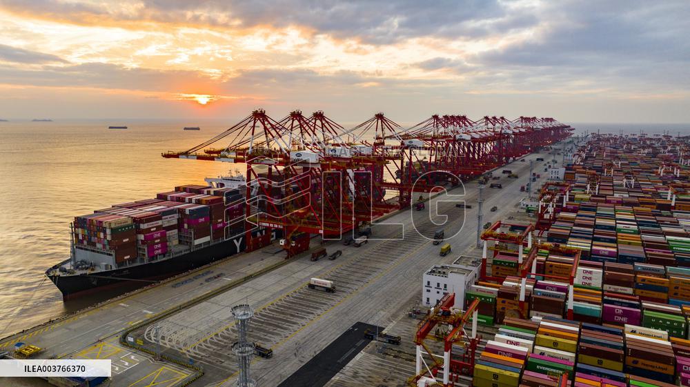 Shanghai Port Container Annual Throughput Exceeded 50 Million TEU
