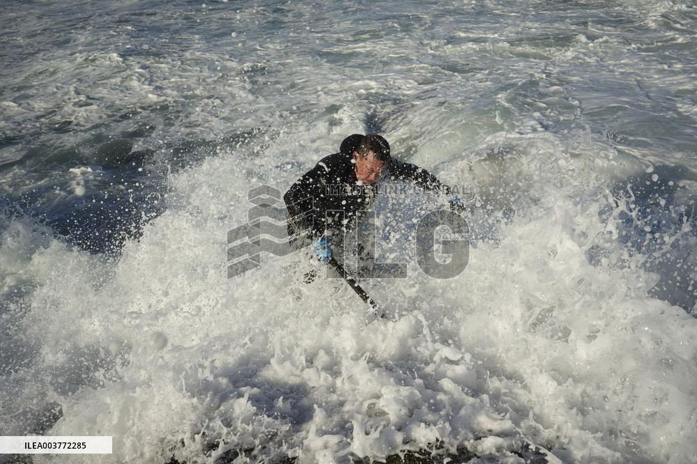 Barnacles In Baiona During The Christmas Campaign - Spain