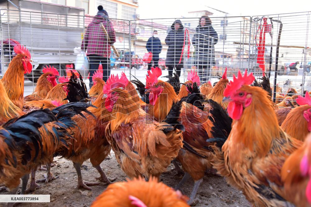 A Livestock and Poultry Market in Zaozhuang