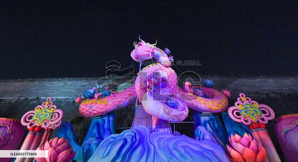 Year of the Snake Zodiac Lantern