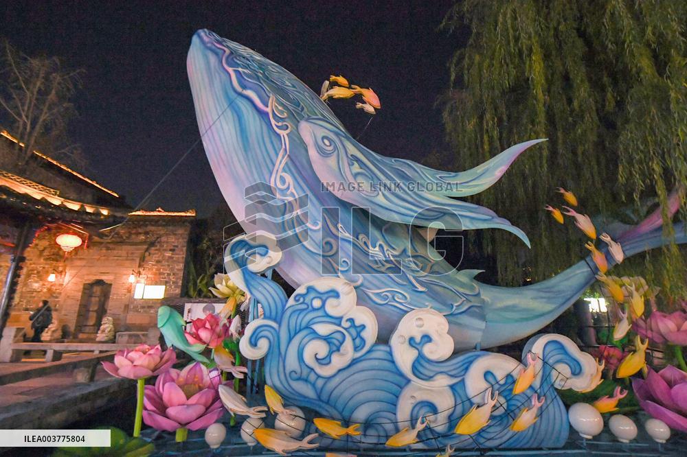 Year of the Snake Zodiac Lantern