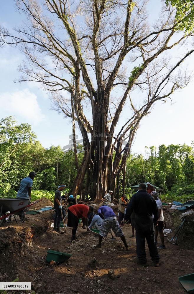 Japan searches for WWII soldier remains in Palau