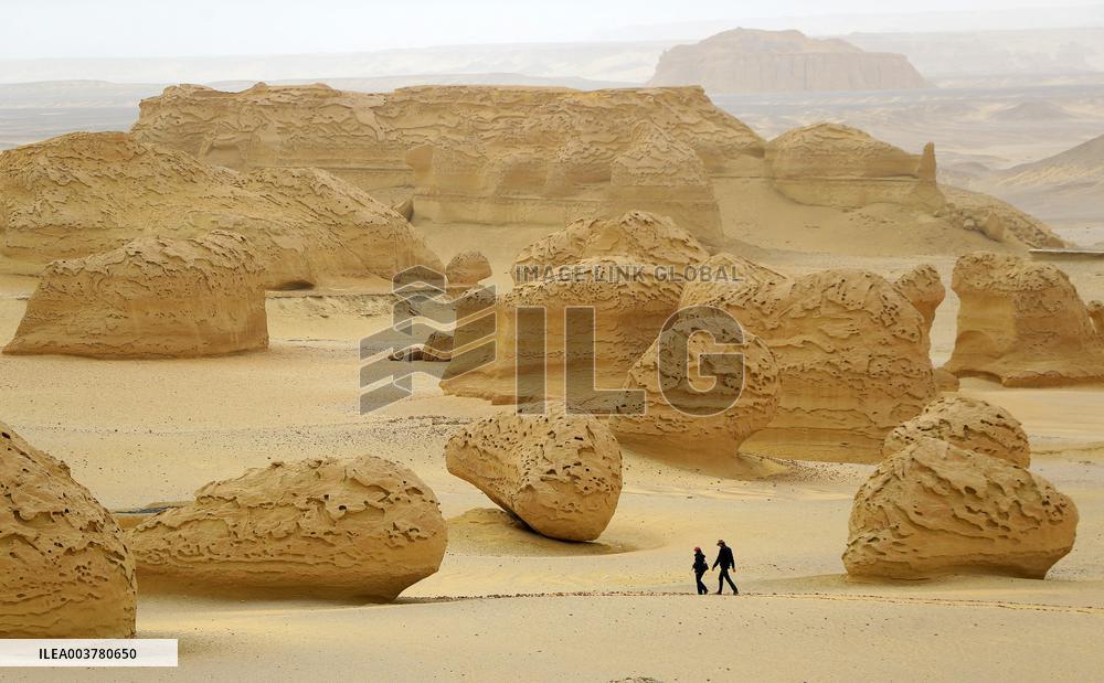 World Heritage Site Whale Valley - Egypt