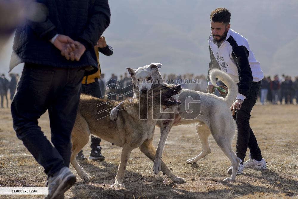 Dogfight Competition - Azerbaijan