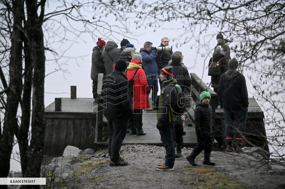 Oil tanker Eagle S suspected of the disruption of the Finland-Estonia electrical link Estlink 2