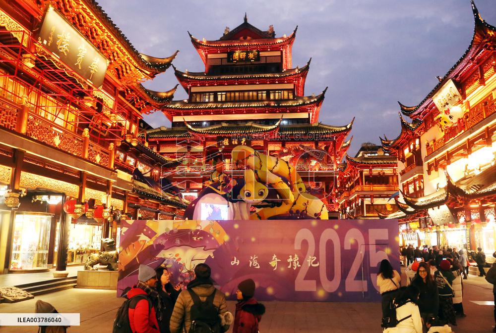 2025 Year of the Snake Yu Garden Lantern Festival First Lights Up
