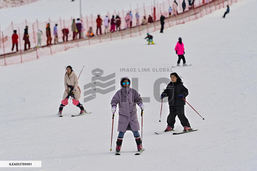 Ice and Snow Sports Popularity