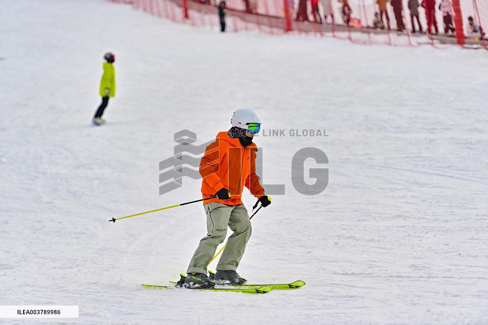 Ice and Snow Sports Popularity