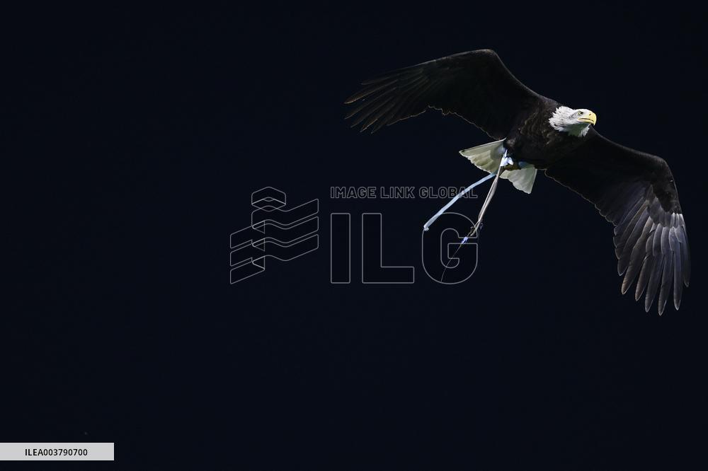 CALCIO - Serie A - SS Lazio vs Atalanta BC