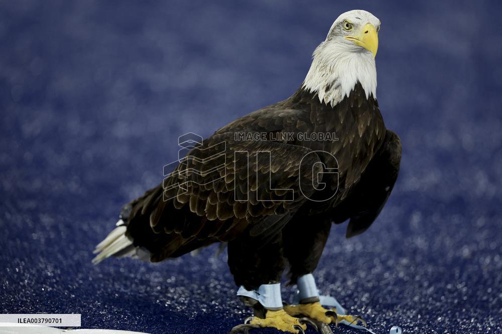 CALCIO - Serie A - SS Lazio vs Atalanta BC