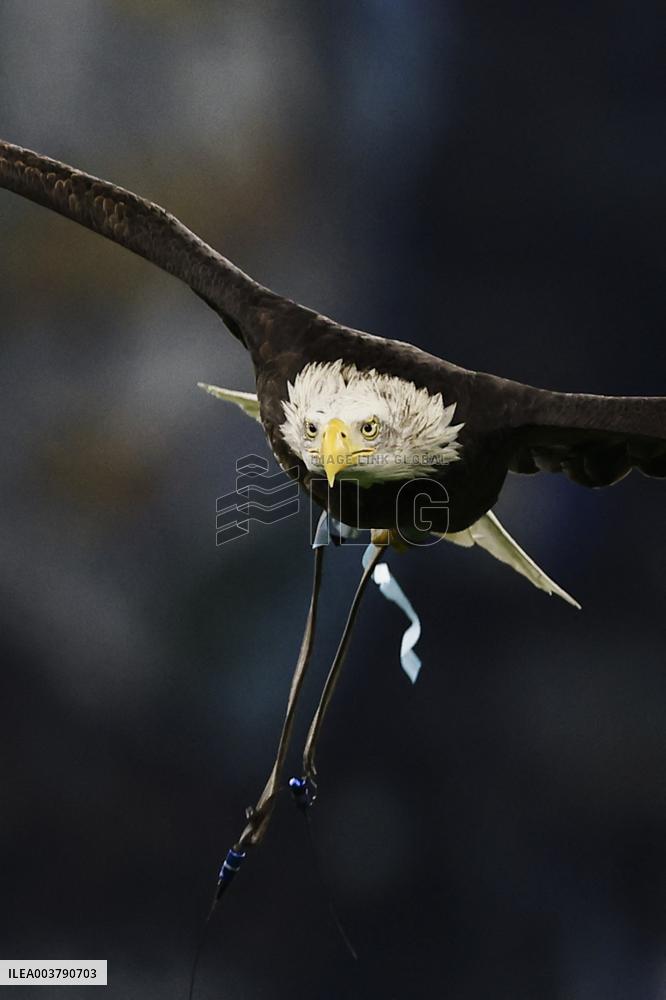 CALCIO - Serie A - SS Lazio vs Atalanta BC