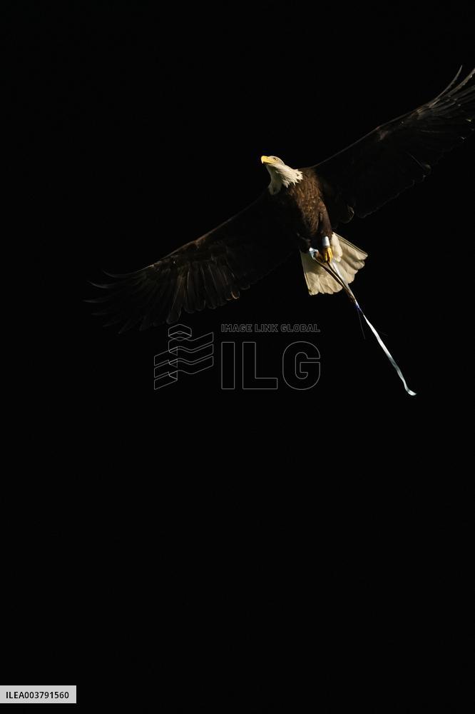 CALCIO - Serie A - SS Lazio vs Atalanta BC