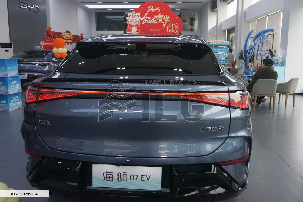 2024 Byd Vehicles Sales Soar