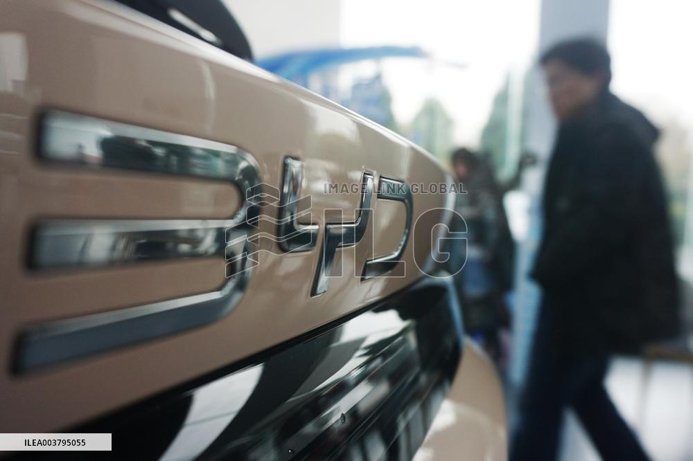 2024 Byd Vehicles Sales Soar
