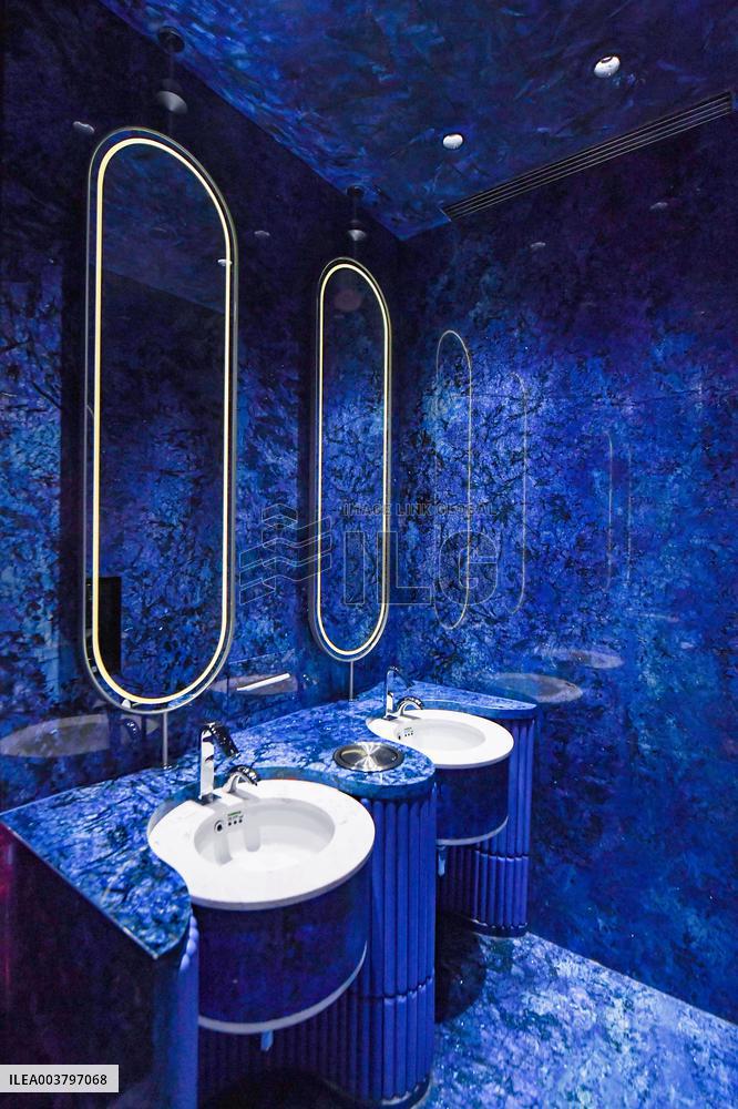 Luxury Public Toilet in Nanjing