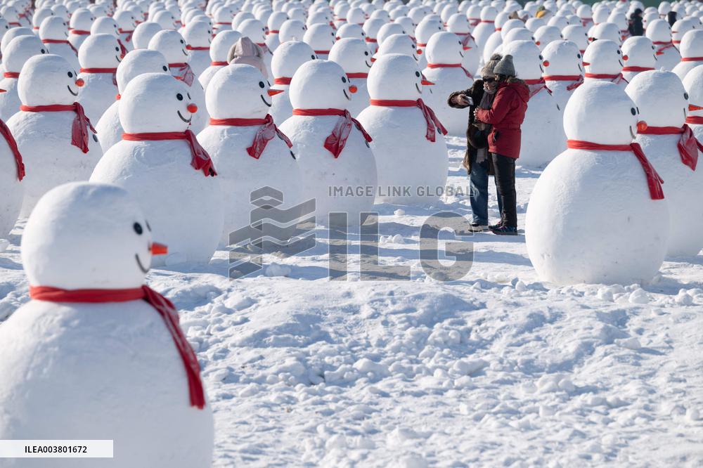 Snow Sculptures - Harbin