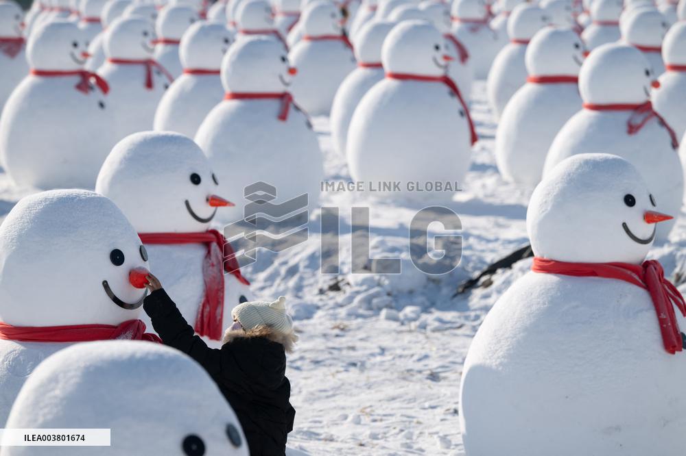 Snow Sculptures - Harbin