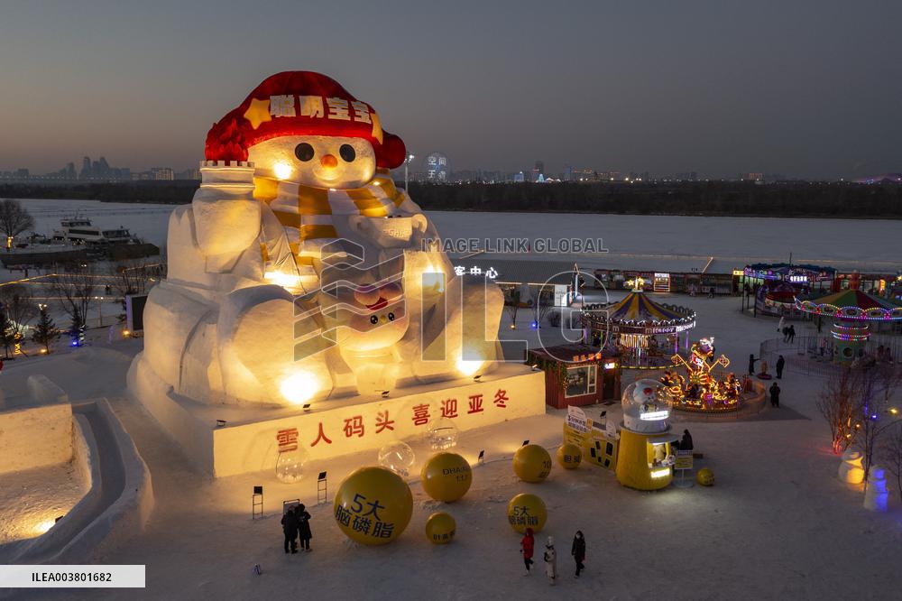 Snow Sculptures - Harbin