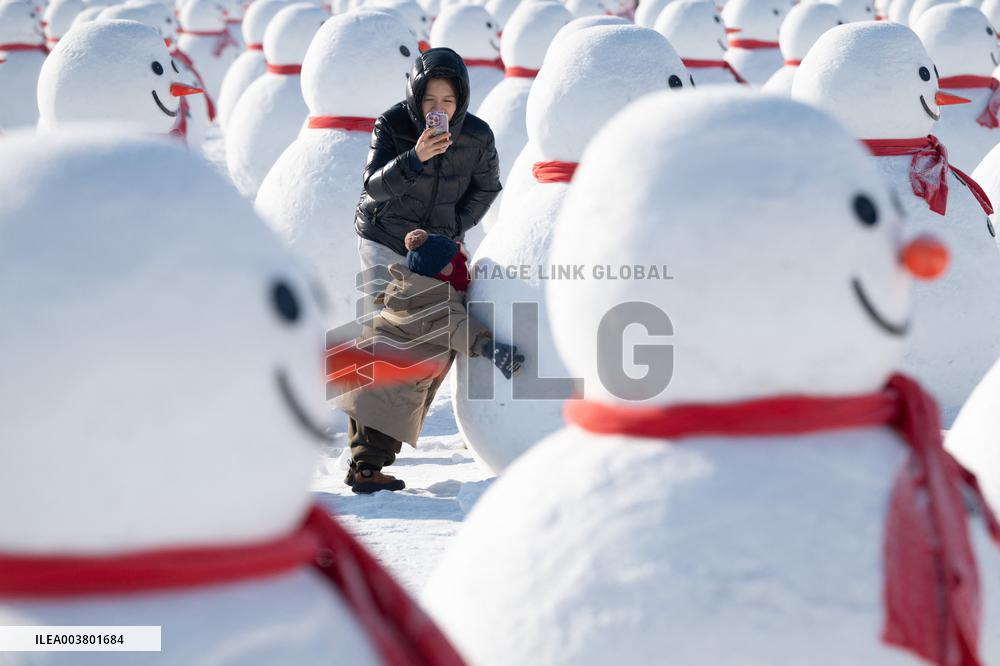 Snow Sculptures - Harbin