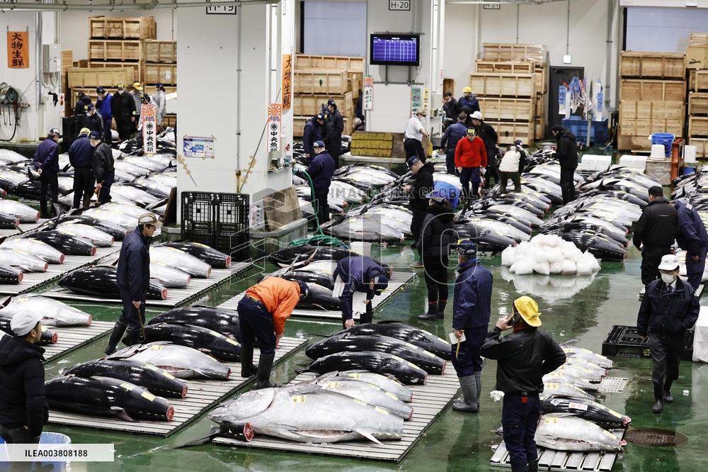 New Year tuna auction in Tokyo