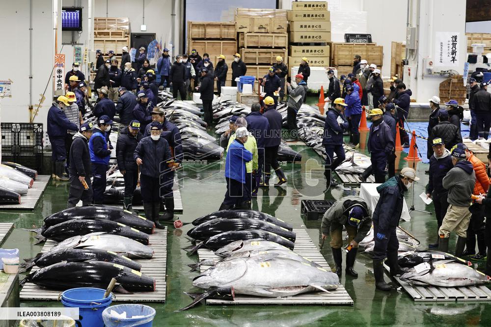 New Year tuna auction in Tokyo