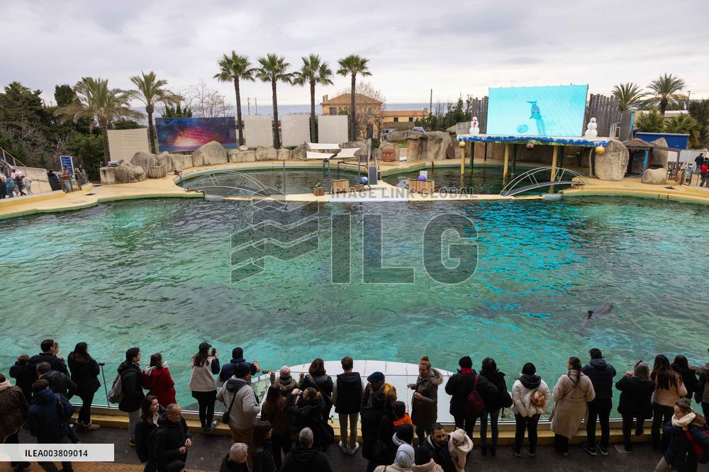 Last Day Before The Final Closure Of Marineland - Antibes