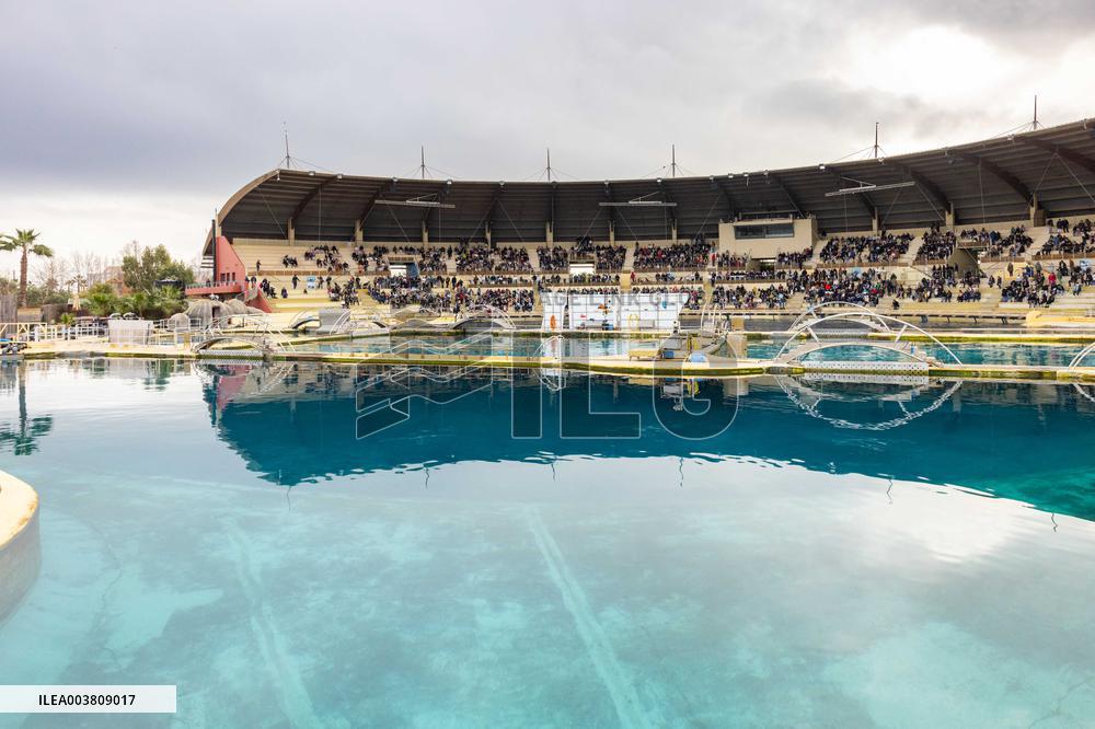 Last Day Before The Final Closure Of Marineland - Antibes