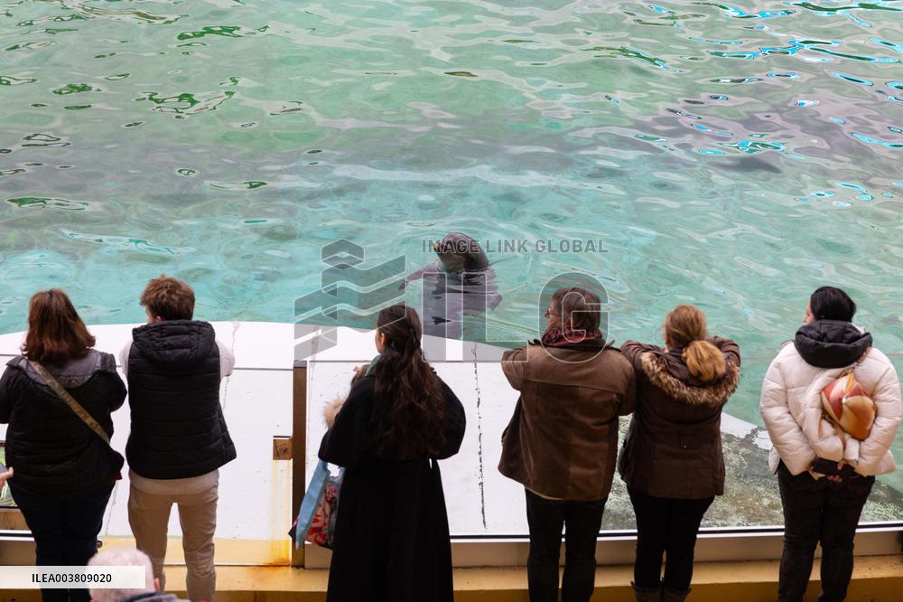 Last Day Before The Final Closure Of Marineland - Antibes